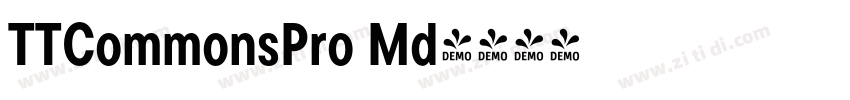 TTCommonsPro Md字体转换
